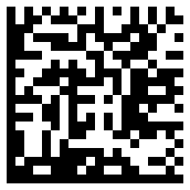 QR & Data Matrix