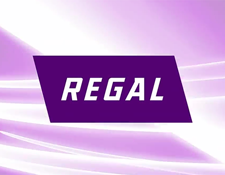 Regal Beloit Corporation            Browning, Jaure, Kop-Flex, McGill, Morse, Rollway, SealMaster  System Plast