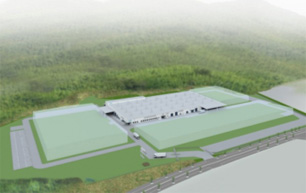NTN Noto Corporation (вид)